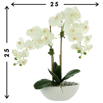 White orchids in a ceramic pot