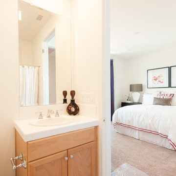 Vineyard Village Model No. 1