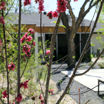 Foley Residence