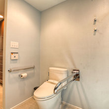Grab bars toilet