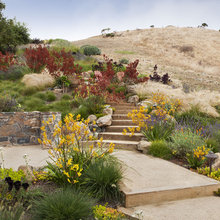 steps