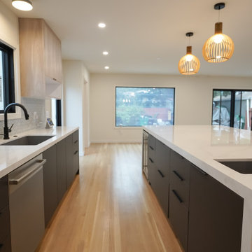 Albany -New Construction