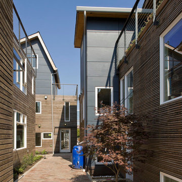 Urban Canyon