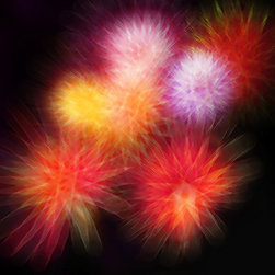 Floral Mums (from fireworks) - Artwork