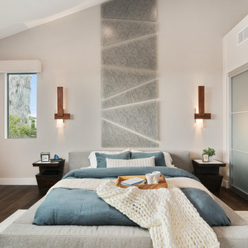 Solana Beach Modern Stunner