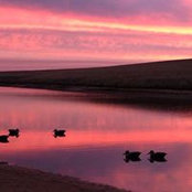 Shane Linguey's photo
