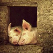 Vincenzo Proni's photo