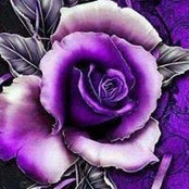 Carolyn Rubio's photo