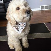 Kathy Wiley's photo