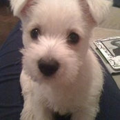 Sara Woomer's photo