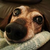 Annie LeBouthillier's photo