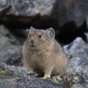 Sylvia Schmidt Copeland's photo