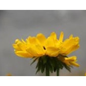 Candy Barham's photo