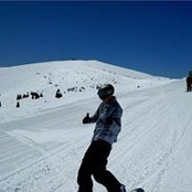 Mike Tacchellaさんの写真