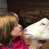 Kristin Berube's photo