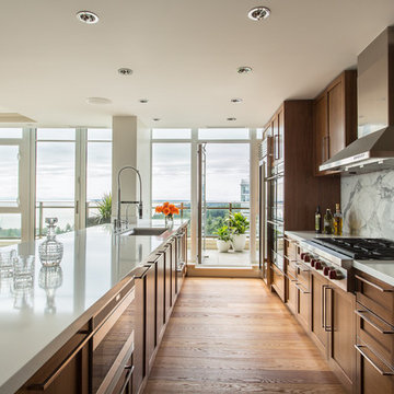 White Rock Penthouse