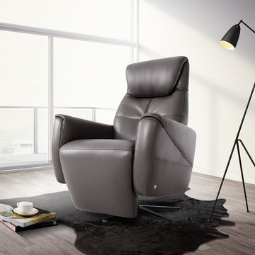 Ron Gray Power Motion Leather Recliner