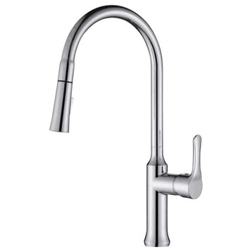 Pull Out Kitchen Faucet, Stain Finish
