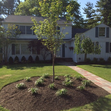 Landscape - Front Foundation