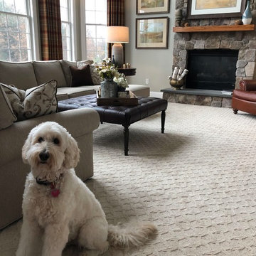 Family Room Fit for All