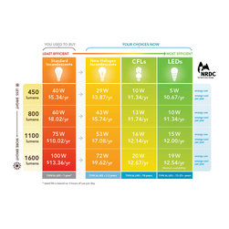 Translating New Energy Saving Light Bulbs - Lighting