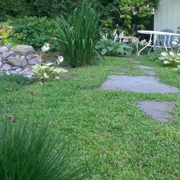 Rainwater Harvesting System & Planting
