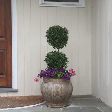 container gardens