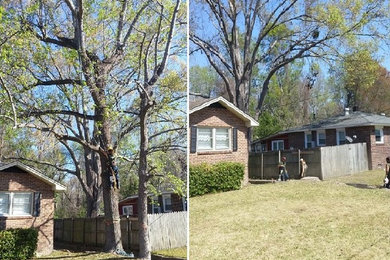 Design ideas for a landscaping in Charleston.