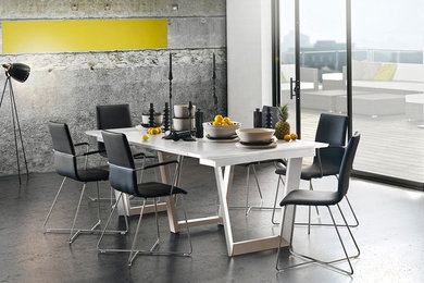 Aménagement d'une salle à manger contemporaine.