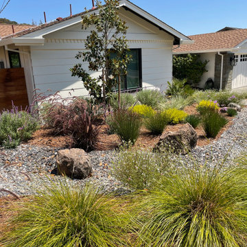 Dry Creek Bed