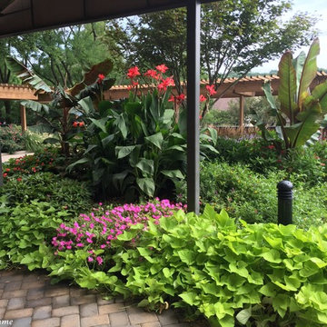 Roof Garden for Harper House Condo