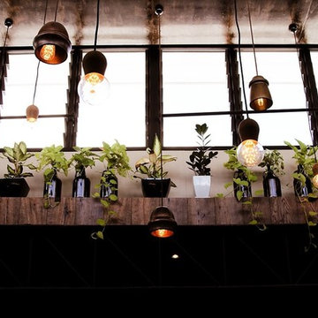 Brisbane Brewing Co