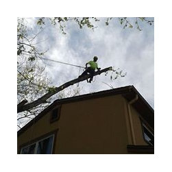 Great Western Tree Care - Products