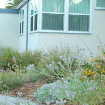 Royal California Native Frontyard Plant Bundle