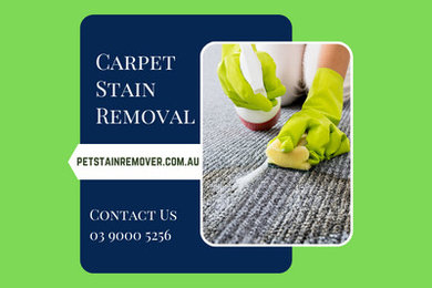 Quick & Convenient Carpet Stain Removal in Melbourne.