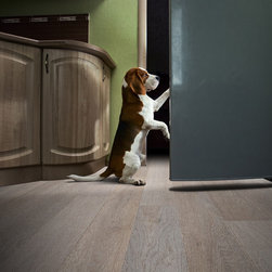 Hardwood - Products