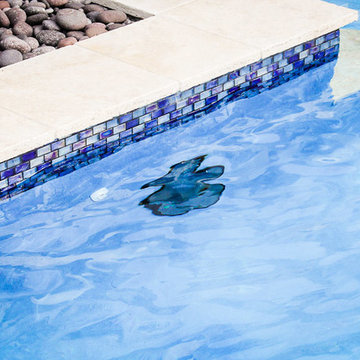Roman/Geometric Pool with Sunshelf and Raised Spa in Davie