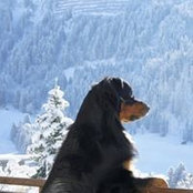 Foto von Karin Schobora