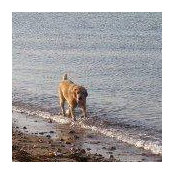 Laura Pollock's photo