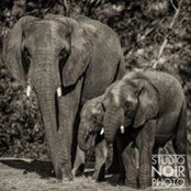 Kyle Crocker's photo