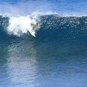 Petetin Nans's photo