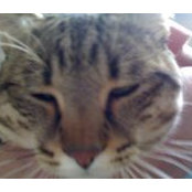 Inga Kunder's photo