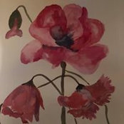 Monika Moj's photo