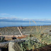 Noni Cさんの写真