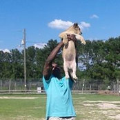 James Hilliard's photo