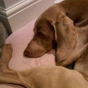 Sharon Odle's photo