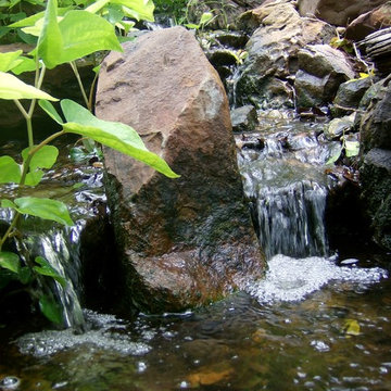 Doss Pond