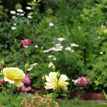 Garden Walks
