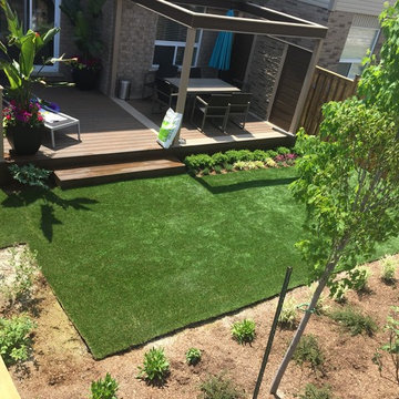 Lawn and Landscaping