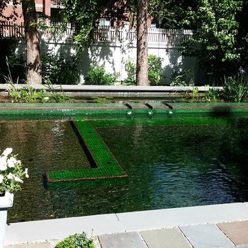 BioNova Natural Swimming Pool - Boston, MA